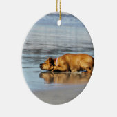 Rhodesian Ridgeback - ist das Wasser kalt? Keramikornament (Rechts)