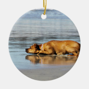 Rhodesian Ridgeback - ist das Wasser kalt? Keramikornament