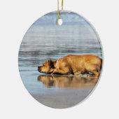 Rhodesian Ridgeback - ist das Wasser kalt? Keramikornament (Links)