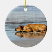 Rhodesian Ridgeback - ist das Wasser kalt? Keramikornament (Hinten)