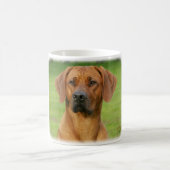 Rhodesian Ridgeback Kaffeetasse (Mittel)