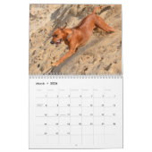 Rhodesian Ridgeback Kalender (Mär 2026)