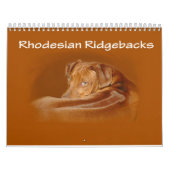 Rhodesian Ridgeback Kalender (Titelbild)