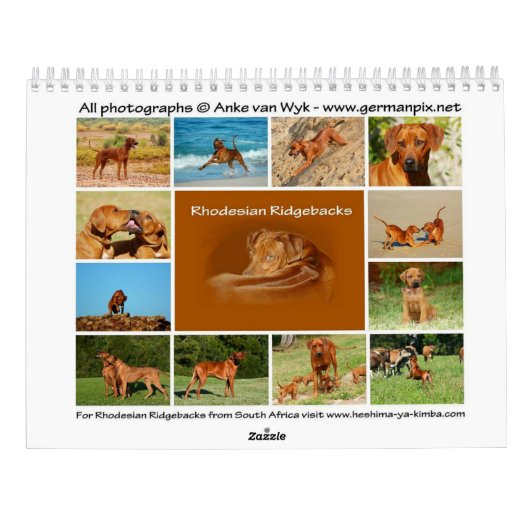 Rhodesian Ridgeback Kalender (Rückseite)