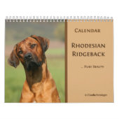 Rhodesian Ridgeback Kalender 2011 (Titelbild)