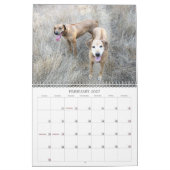 Rhodesian Ridgeback Kalender 2018 (Feb 2027)