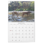 Rhodesian Ridgeback Kalender 2018 (Mär 2026)