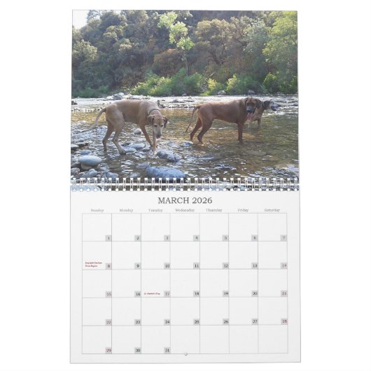 Rhodesian Ridgeback Kalender 2018 (Mär 2026)