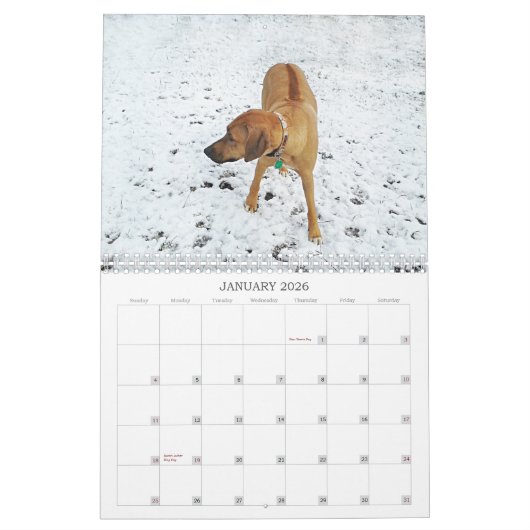 Rhodesian Ridgeback Kalender 2018 (Jan 2026)