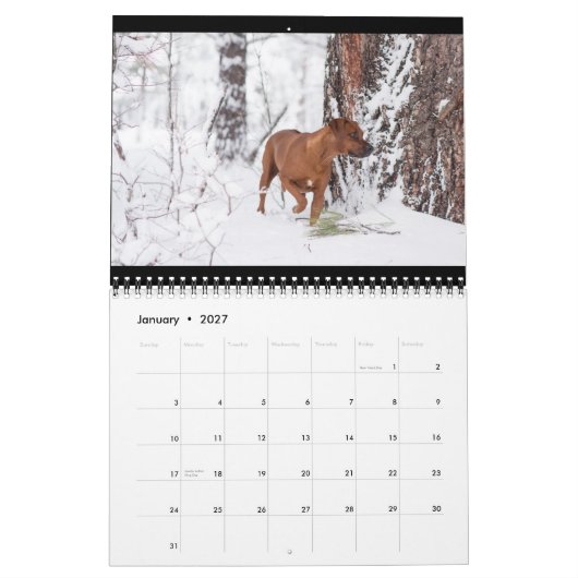 Rhodesian Ridgeback Kalender 2018 (Jan 2027)