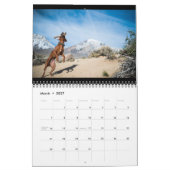 Rhodesian Ridgeback Kalender 2018 (Mär 2027)