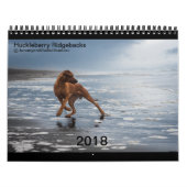 Rhodesian Ridgeback Kalender 2018 (Titelbild)
