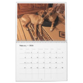 Rhodesian Ridgeback Kalender 2020 (Feb 2026)