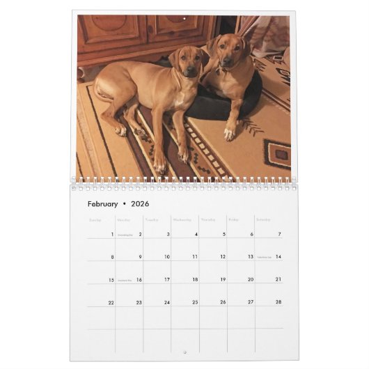 Rhodesian Ridgeback Kalender 2020 (Feb 2026)