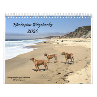 Rhodesian Ridgeback Kalender 2020