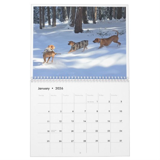 Rhodesian Ridgeback Kalender 2020 (Jan 2026)