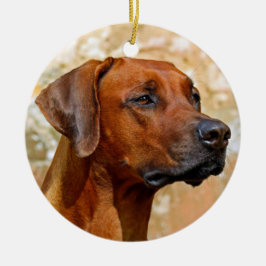 Rhodesian Ridgeback Keramik Ornament