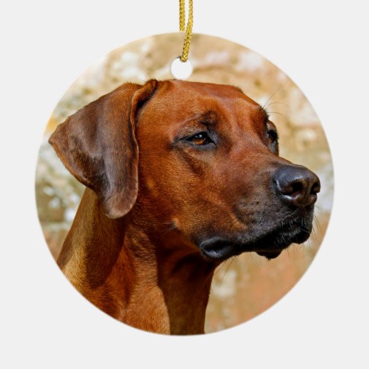 Rhodesian Ridgeback Keramik Ornament (Vorne)