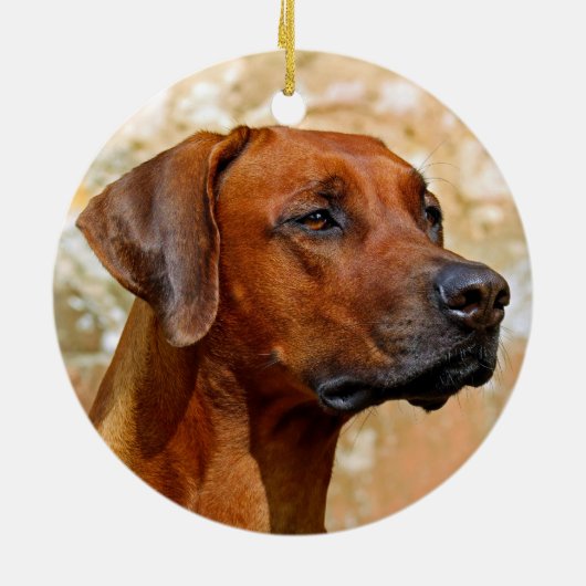 Rhodesian Ridgeback Keramik Ornament (Hinten)