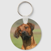 Rhodesian Ridgeback Keychain Schlüsselanhänger (Vorderseite)