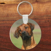 Rhodesian Ridgeback Keychain Schlüsselanhänger (Vorderseite)