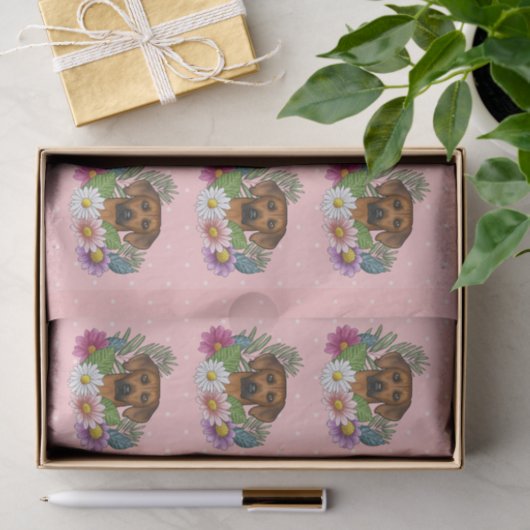 Rhodesian Ridgeback Kopffarbige Blume auf rosa Seidenpapier (Geschenk)