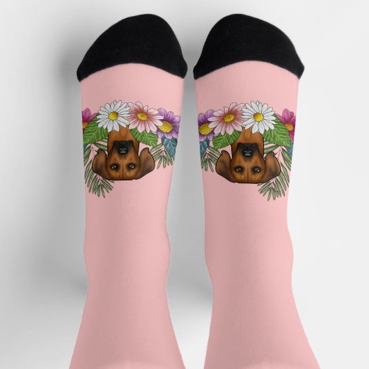 Rhodesian Ridgeback Kopffarbige Blume auf rosa Socken (Oben)