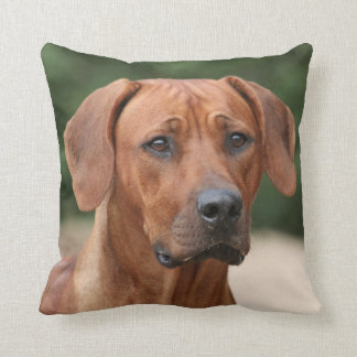 Rhodesian Ridgeback kussen Kissen