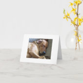 Rhodesian Ridgeback Labrador Dog Mix Karte (Gelbe Blume)