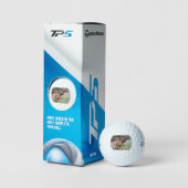 Rhodesian Ridgeback Laufen 2 Golfball (Äußeres Gebäude)