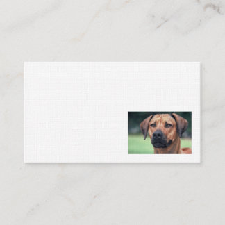 Rhodesian Ridgeback Leinen-Visitenkarte Visitenkarte