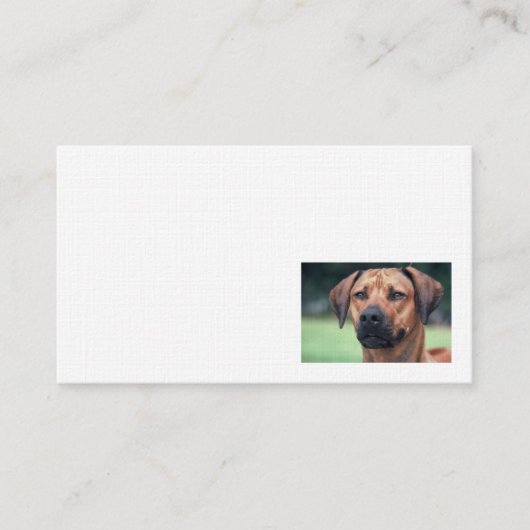 Rhodesian Ridgeback Leinen-Visitenkarte Visitenkarte (Vorderseite)