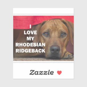 rhodesian-ridgeback Liebe w pic Aufkleber