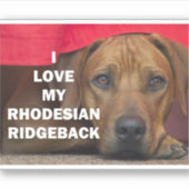 rhodesian-ridgeback Liebe w pic Aufkleber (Vorderseite)