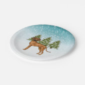 Rhodesian Ridgeback Lion Dog Snowy Winterwald Pappteller (Schrägansicht)