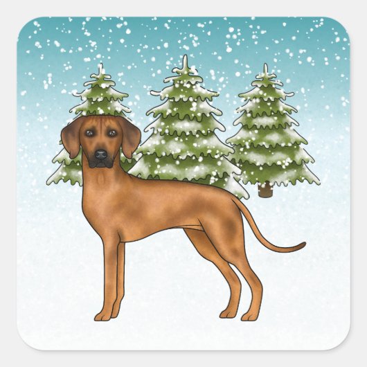 Rhodesian Ridgeback Lion Dog Snowy Winterwald Quadratischer Aufkleber (Vorderseite)