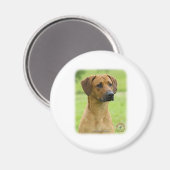 Rhodesian Ridgeback Magnet (Vorderseite/Rückseite)