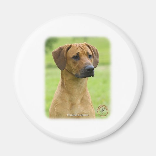 Rhodesian Ridgeback Magnet (Vorne)