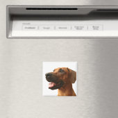 Rhodesian Ridgeback Magnet (In Situ (Geschirrspüler))