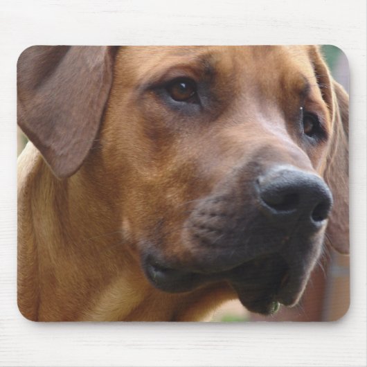 Rhodesian Ridgeback Mausunterlage Mousepad (Vorne)