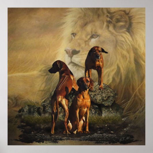 Rhodesian Ridgeback mit Löwe Poster (Vorne)