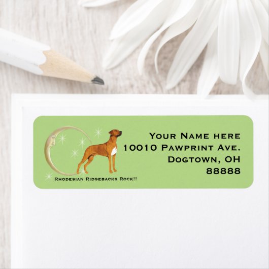 Rhodesian Ridgeback, Mond und Sterne (Insitu)