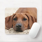 Rhodesian Ridgeback Muismat Mousepad (Mit Mouse)
