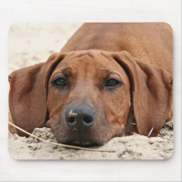 Rhodesian Ridgeback Muismat Mousepad