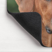 Rhodesian Ridgeback Muismat Mousepad (Ecke)