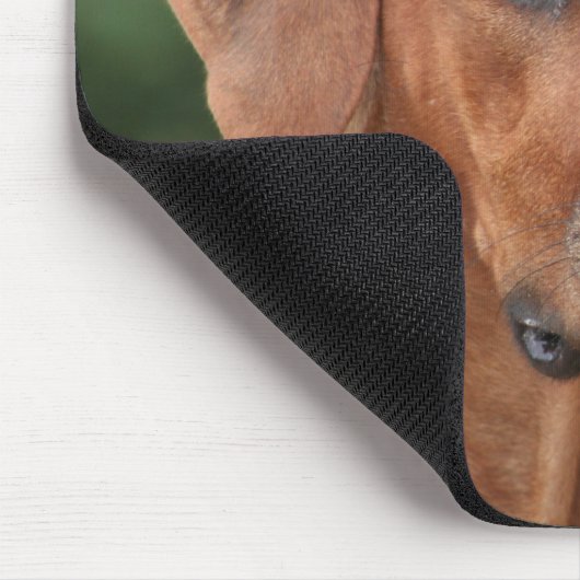 Rhodesian Ridgeback Muismat Mousepad (Ecke)