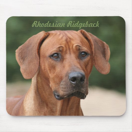 Rhodesian Ridgeback Muismat Mousepad (Vorne)