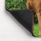 Rhodesian Ridgeback Muismat Mousepad (Ecke)