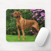 Rhodesian Ridgeback Muismat Mousepad (Mit Mouse)