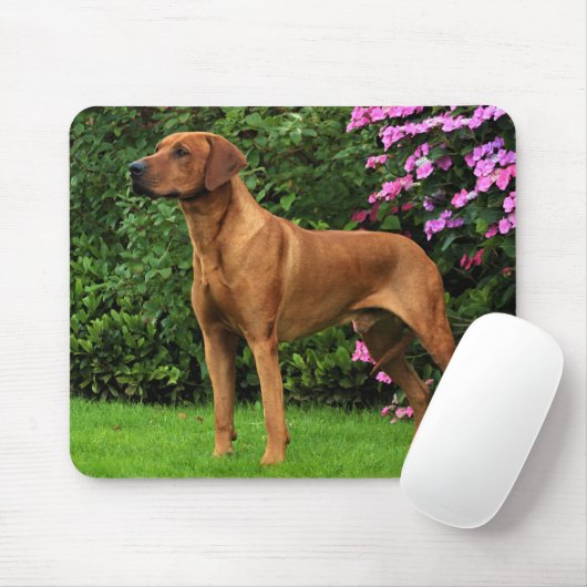 Rhodesian Ridgeback Muismat Mousepad (Mit Mouse)